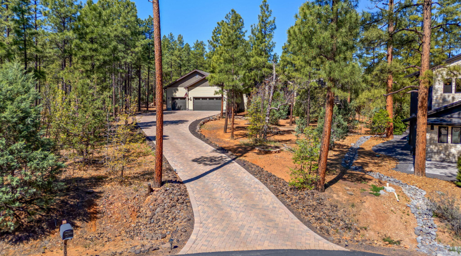 2101STrillium-ShowLow-AZ-2