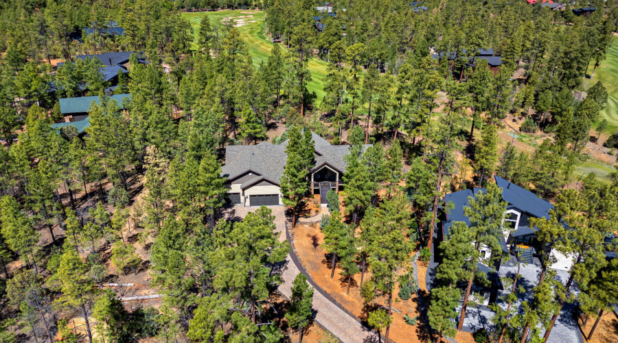 2101STrillium-ShowLow-AZ-45