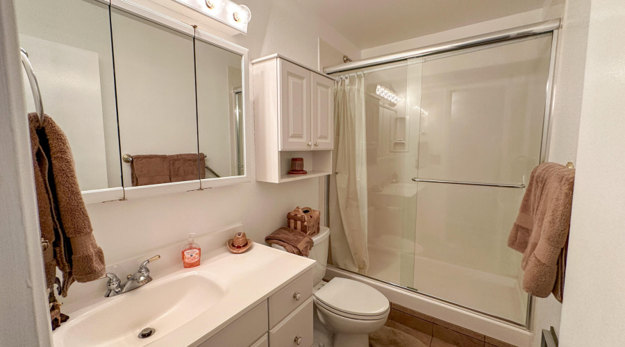Guest Bathroom