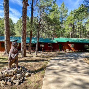 Welcome to Bear Canyon Cabin