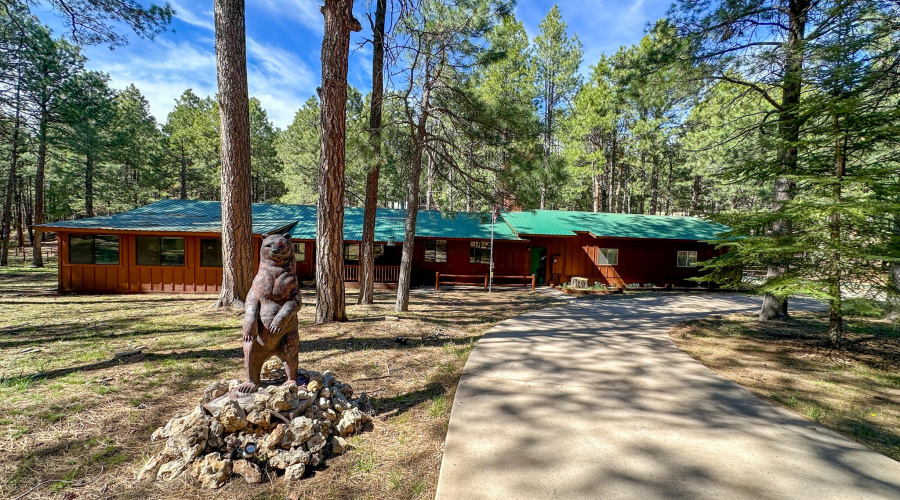 Welcome to Bear Canyon Cabin