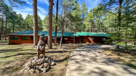 2499 Canyon Drive, Forest Lakes, Arizona 85931, Bedrooms, ,Bathrooms,Residential,For Sale,Canyon,94023