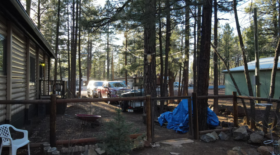 Back Yard View/Fence