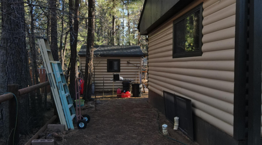 Back area