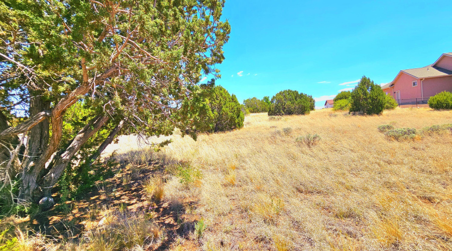 Eaglecrest Land