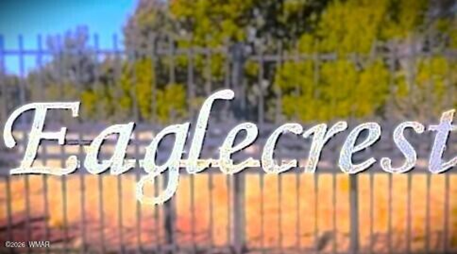 Eaglecrest Gate Blurred