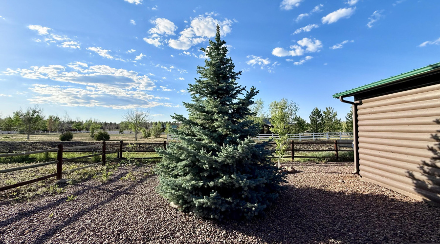 2334 Buffalo Loop