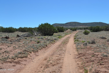 TBD N8604, Concho, Arizona 85924, ,Land,For Sale,N8604,261160