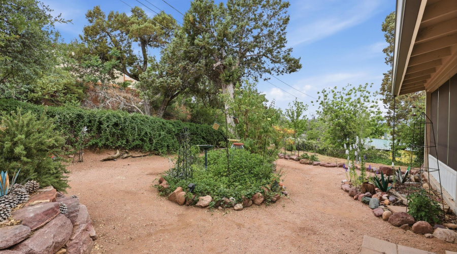 Landscaped Back Yard