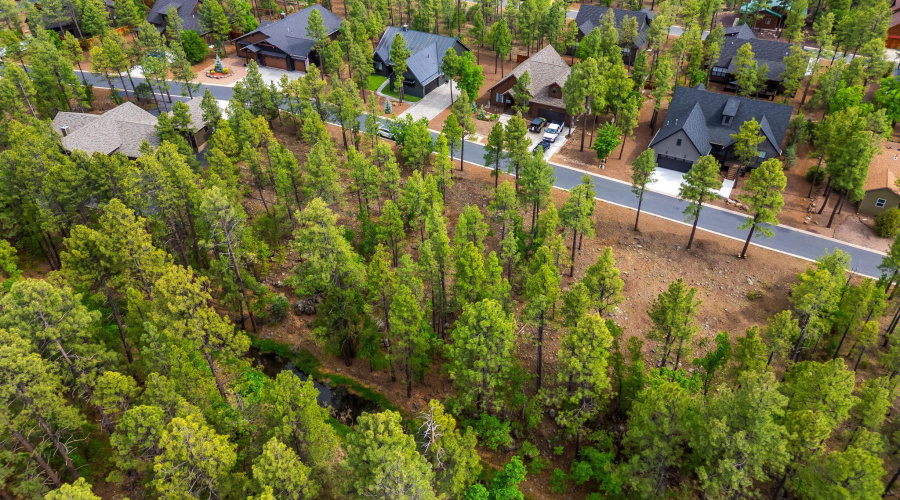1358 Big Springs Trail Lakeside AZ