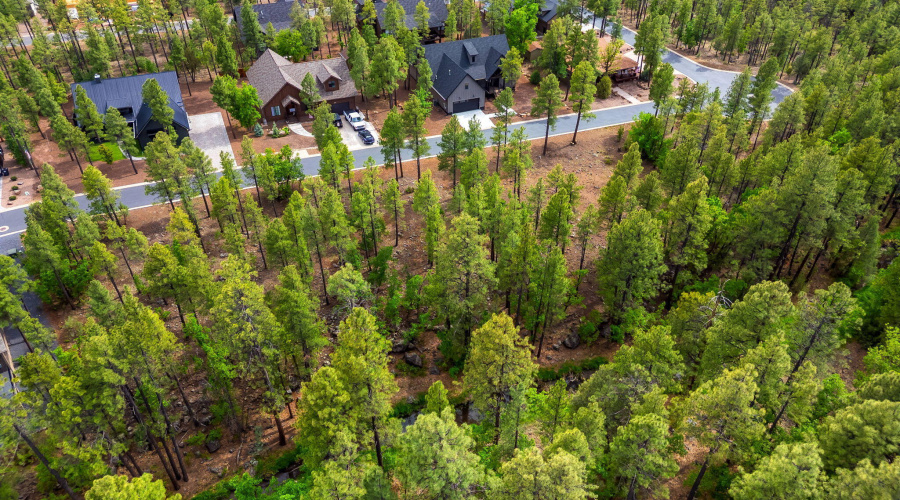1358 Big Springs Trail Lakeside AZ