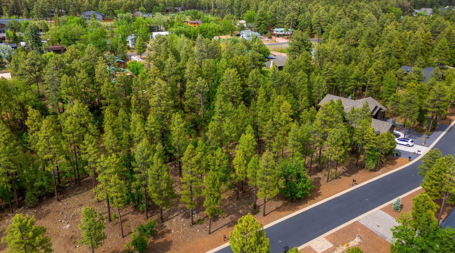 1358 Big Springs Trail Lakeside AZ