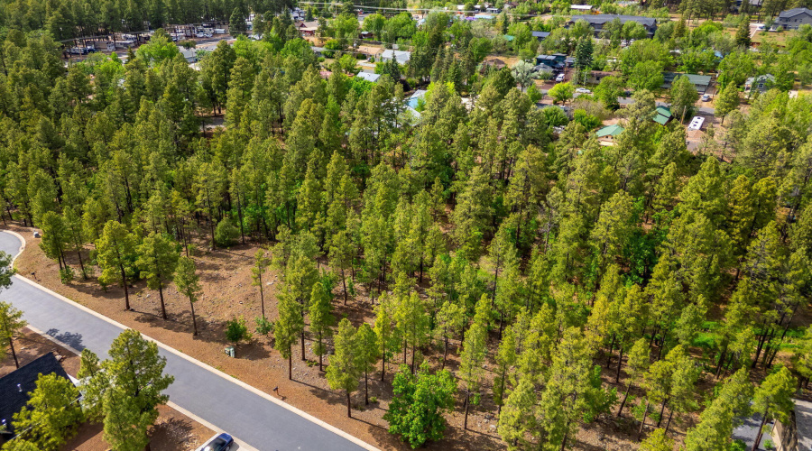 1358 Big Springs Trail Lakeside AZ