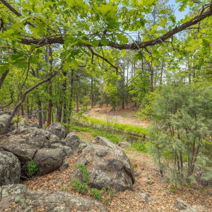 1358 Big Springs Trail Lakeside AZ