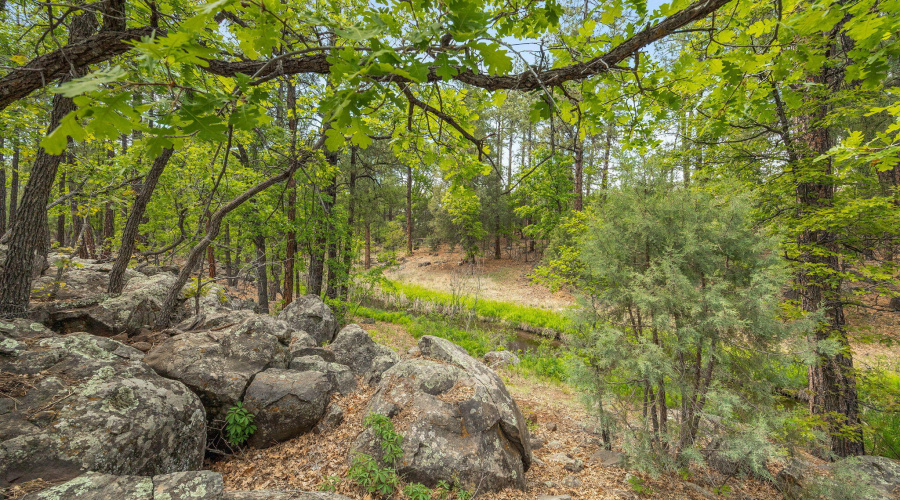 1358 Big Springs Trail Lakeside AZ