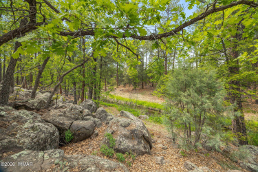1358 Big Springs Trail, Lakeside, Arizona 85929, ,Land,For Sale,Big Springs,261159