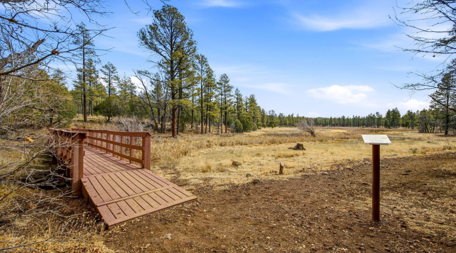 1358 Big Springs Trail Lakeside AZ
