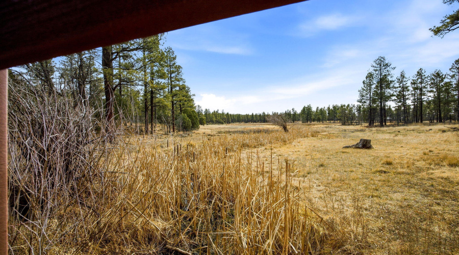 1358 Big Springs Trail Lakeside AZ