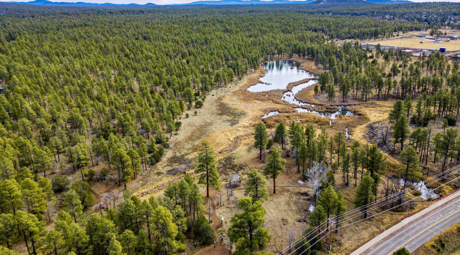 1358 Big Springs Trail Lakeside AZ