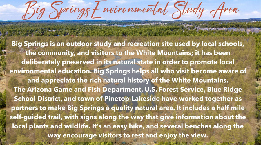 Big Springs
