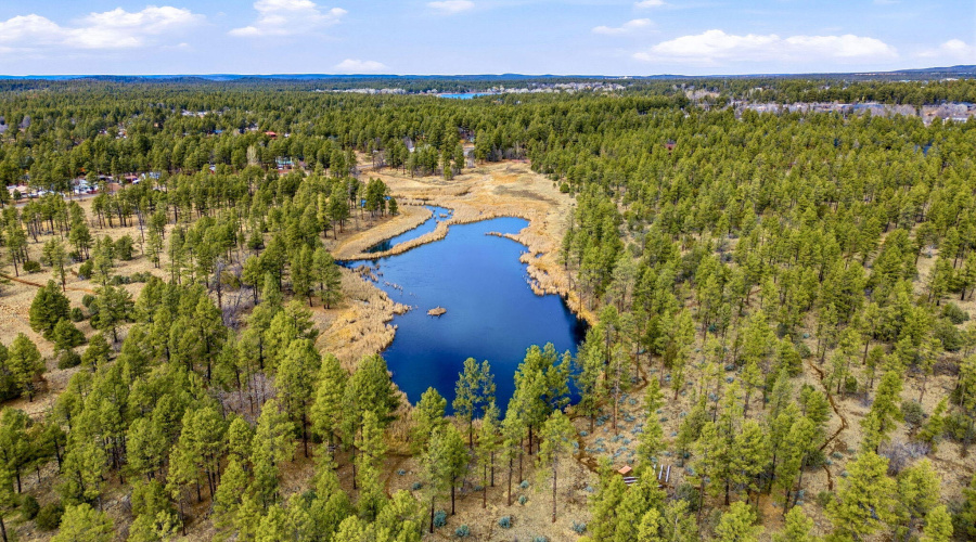 1358 Big Springs Trail Lakeside AZ