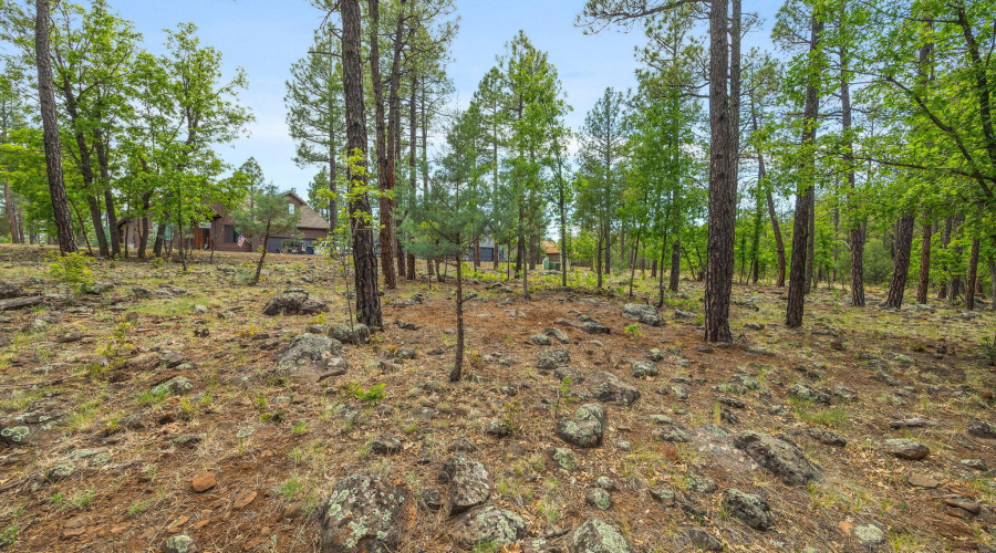 1358 Big Springs Trail Lakeside AZ