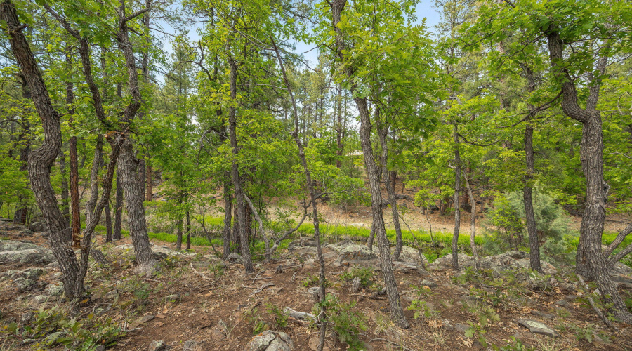1358 Big Springs Trail Lakeside AZ