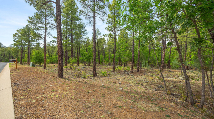1358 Big Springs Trail Lakeside AZ