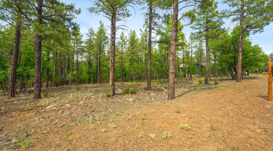 1358 Big Springs Trail Lakeside AZ
