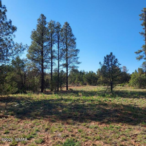 Whitetail Primary