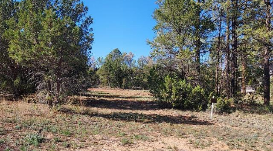 Whitetail Way  2