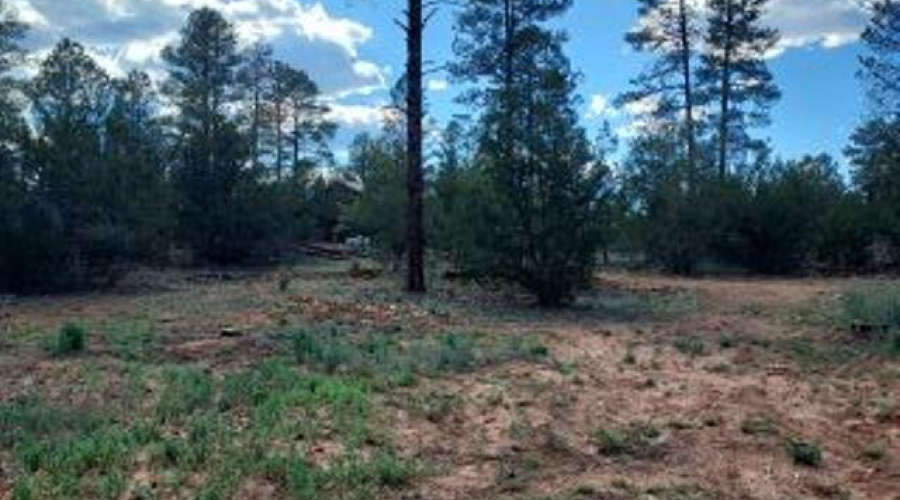 Whitetail  Way 4