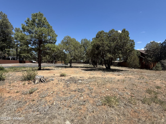621 Bushman, Show Low, Arizona 85901, ,Land,For Sale,Bushman,261154