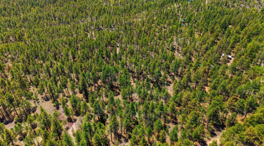 AERIAL 8