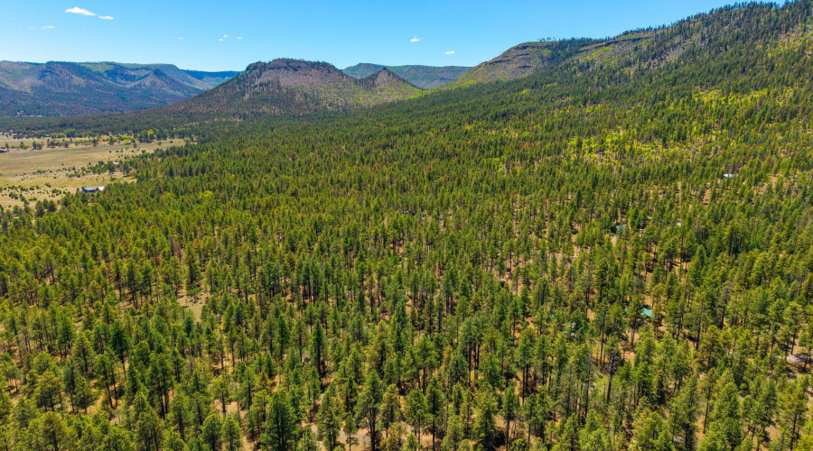 AERIAL 2