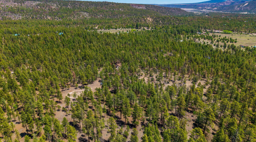 AERIAL 4
