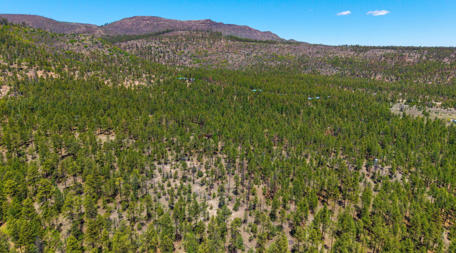 AERIAL 6