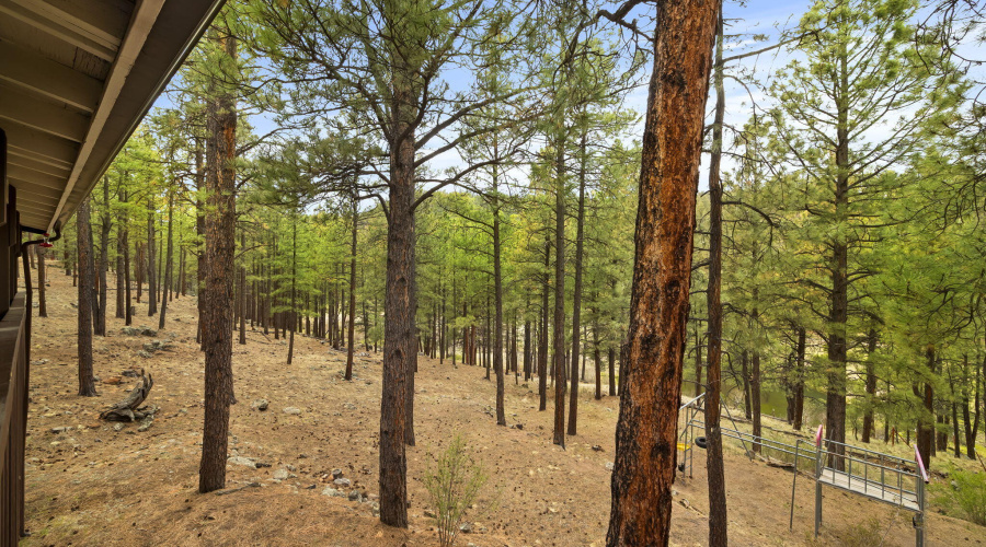 3N1029-Greer-AZ-32