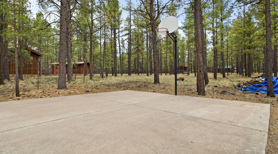 3N1029-Greer-AZ-33