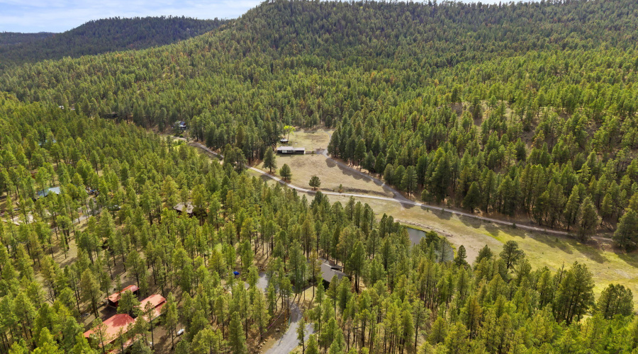 3N1029-Greer-AZ-40