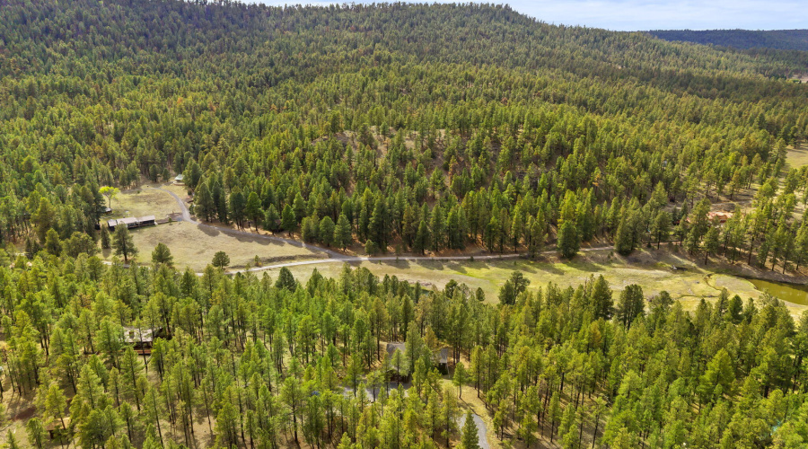 3N1029-Greer-AZ-41