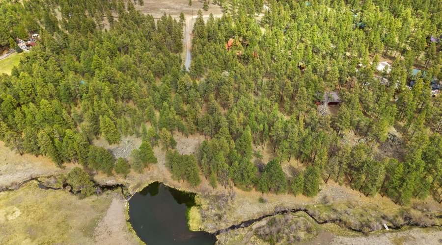 3N1029-Greer-AZ-43
