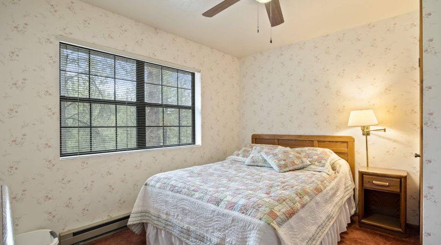 3N1029-Greer-AZ-20