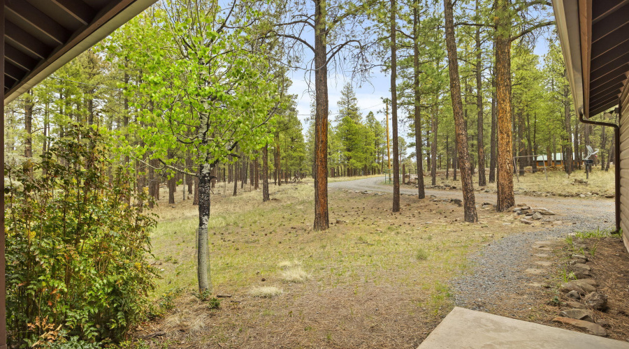 3N1029-Greer-AZ-5