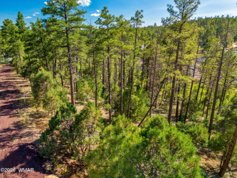 TBD Ellsworth, Show Low, Arizona 85901, ,Land,For Sale,Ellsworth,261176