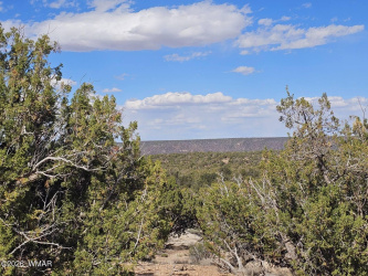 3945 Valley Road, Snowflake, Arizona 85937, ,Land,For Sale,Valley,261178