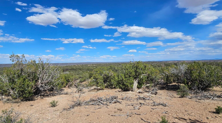 image000001 (78)