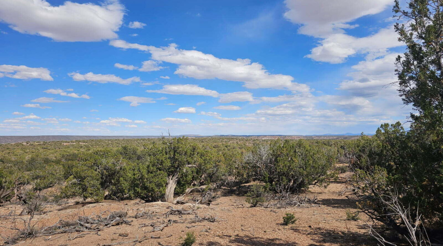 image000001 (80)