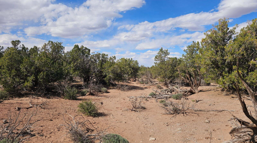 image000001 (79)