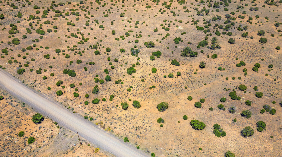 WindsorValleyRanchLot188-Concho-AZ-11